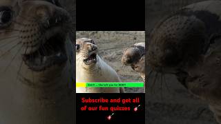 Put captions on these 30 crazy cool animal photos ￼