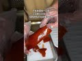 If you spit it out in one mouthful, if you spit it out in two mouths, or in three mouthfuls, you