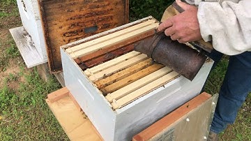 So You Caught A Swarm... Now What?