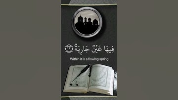 [قران كريم] سوره الغاشيه] القارئ عبد الرحمن مسعد] اكتب شي تؤجر عليه ♡
