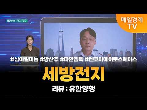 [투자 텔미] 텔미! 2차전지 · 방산주 · 파인엠텍 · 켄코아에어로스페이스 · 김민성 매니저 탑픽 - 세방전지 / 김민성 / 매일경제TV 주머니 매니저