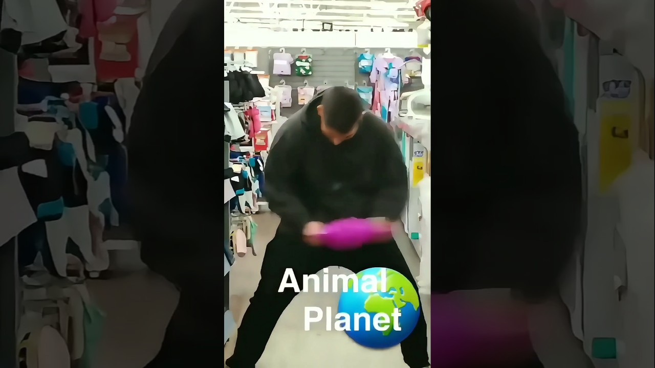 The Wild Imbecile | Part 1