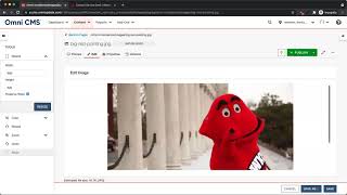 Using the Image Editor