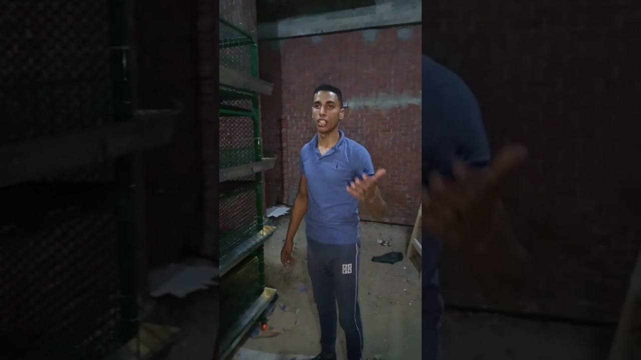 يوسف محمد مصنع المصطفى تصنيع بطاريات عموله🐤🐥🐔 0112935581,01002398309