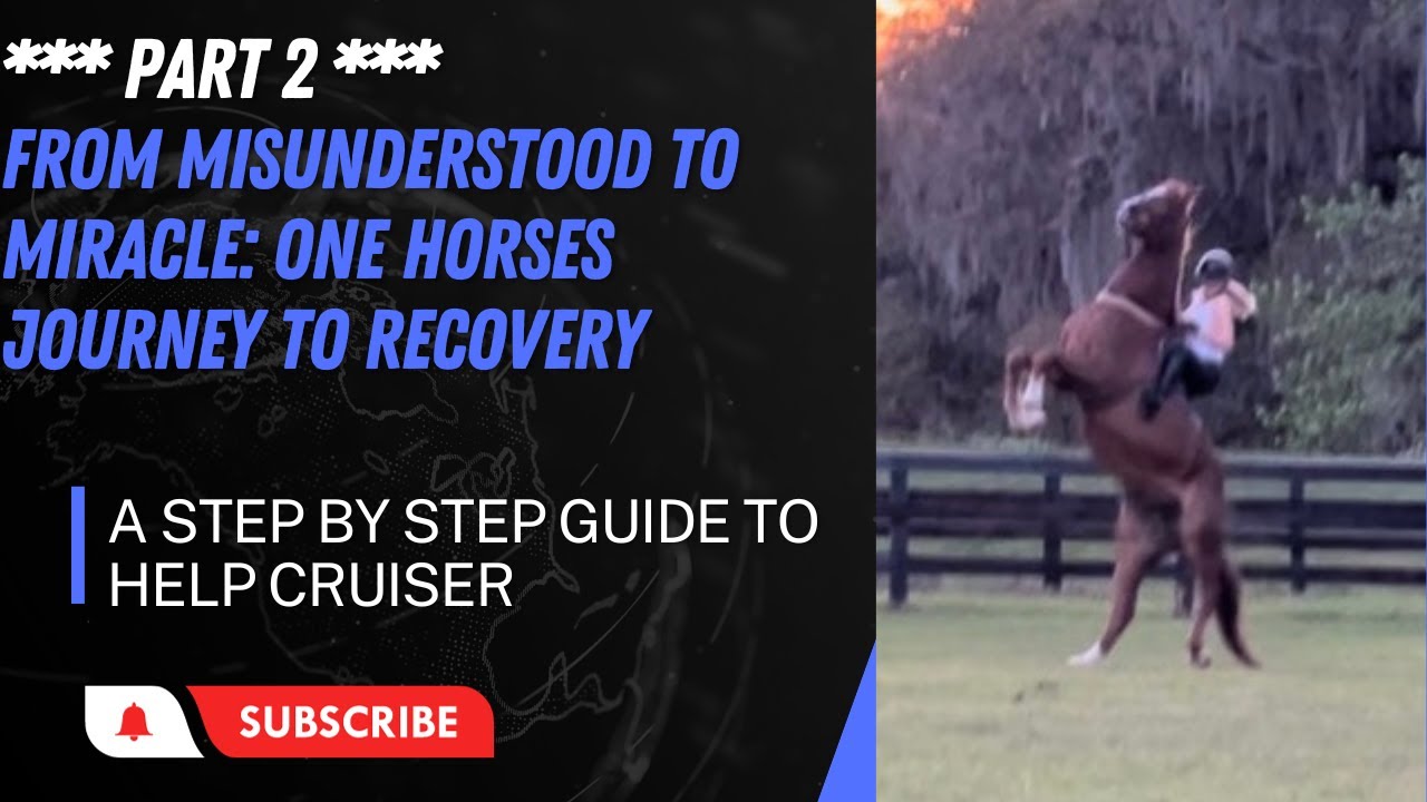 Horses Miracles Ride PART 2 *** FROM MISUNDERSTOOD TO MIRACLE: ONE HORSES JOURNEY TO RECOVER ...