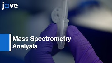 Enrichment Of Extracellular Matrix Proteins From Tissues & Digestion: Peptides l Protocol Preview