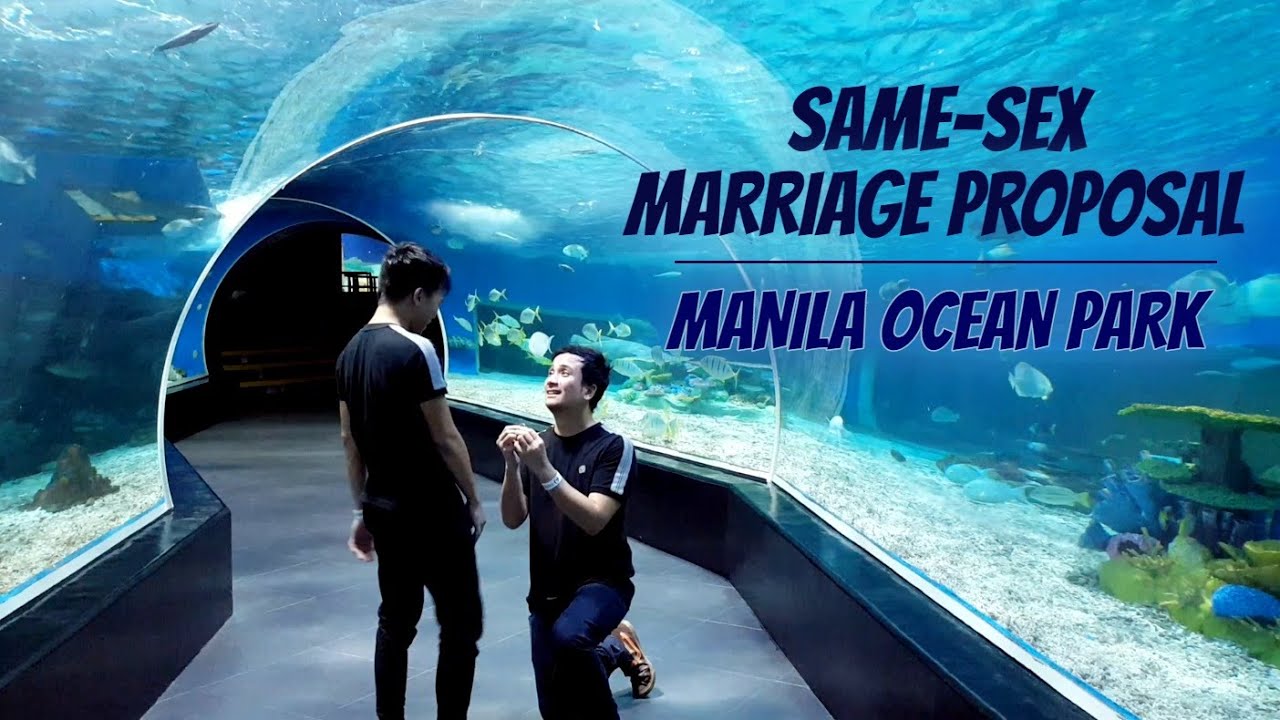 A heartwarming "underwater" marriage proposal. Remus & Rolenz. Love wins. 