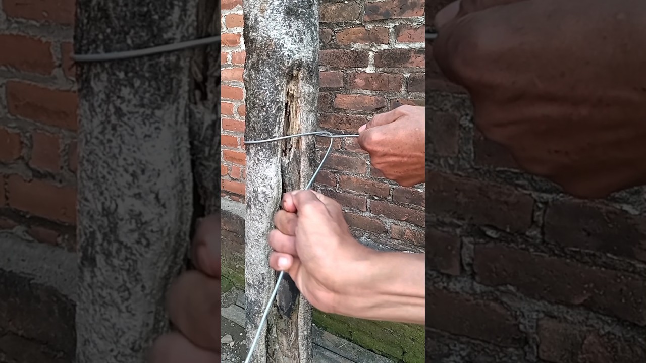 TIPS & TRIKS SIMPLE.  