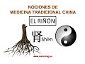 12. El Riñón: la raíz del cuerpo. Curso de medicina china. Centro IMG