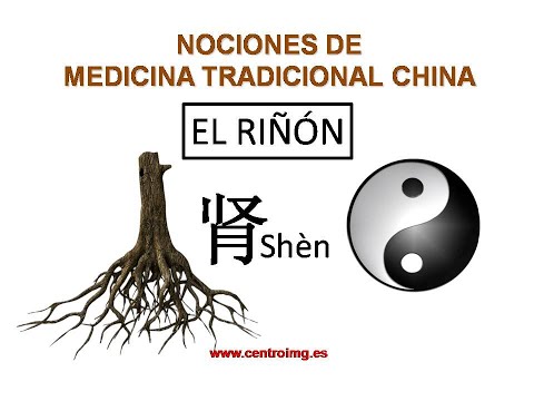 12. El Riñón: la raíz del cuerpo. Curso de medicina china. Centro IMG