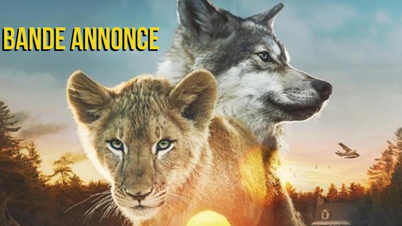LE LOUP ET LE LION - Bande Annonce (VF) 2021 - [Trailers Channel] - YouTube