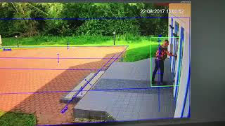 #SecurityWarehouse Dahua IVS