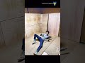 (tiktok) 日本に来てびっくりした事! ❤️ 古民家 #DIY #shorts