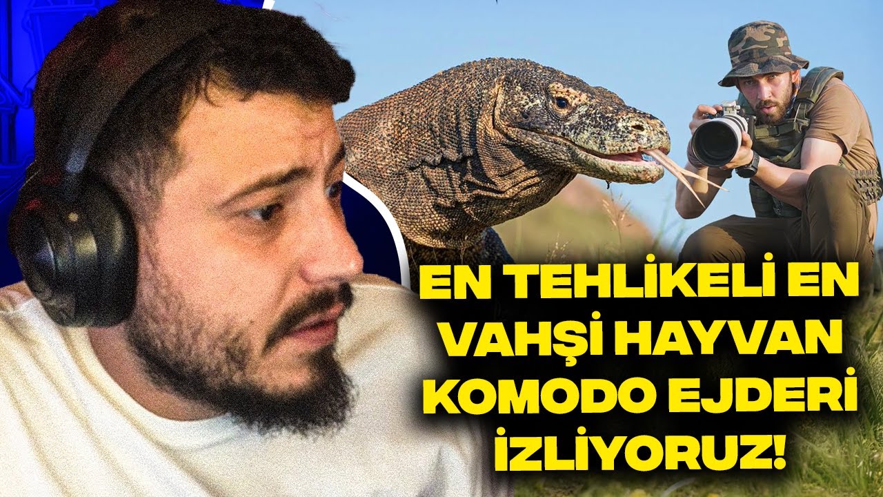 DÜNYANIN EN TEHLİKELİ VE EN VAHŞİ HAYVANI: KOMODO EJDERİ İZLİYORUZ! (BİR ÇOCUK KOLUNU KAYBETTİ!)