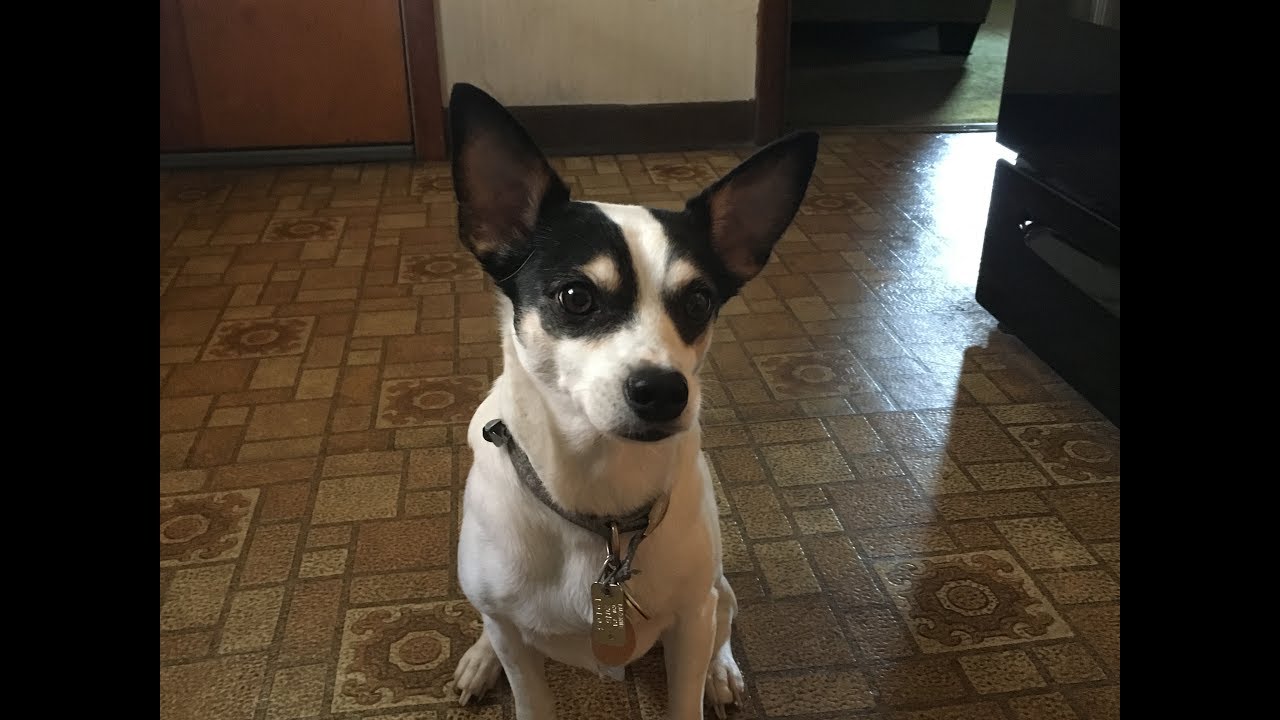 when it's the last day of school!!!