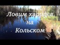 Ловля Хариуса на Кольском полуострове