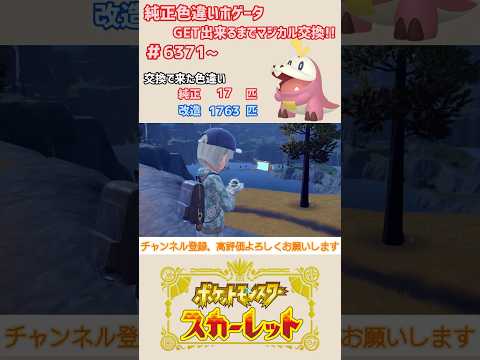 純正色違いホゲータGET出来るまでマジカル交換！！#6371~【ポケモンSV/pokemon】#shorts