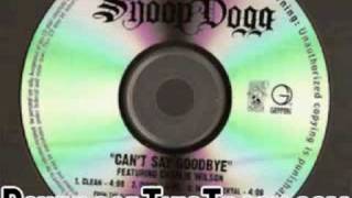 snoop dogg - Can&#39;t Say Goodbye (Clean) - Can&#39;t Say Goodbye