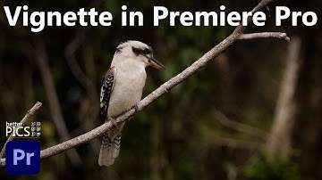 How to create a Vignette in Premiere Pro | #PremierePro #Vignette #Lumetri