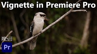 How to create a Vignette in Premiere Pro | #PremierePro #Vignette #Lumetri