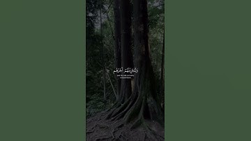 القارئ: أنس العمادي - سورة: النحل