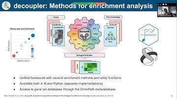 pseudobulks and differential expression with decoupler – scverse community meeting