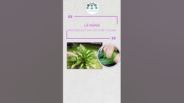 Lá Náng – Món quà quý từ thiên nhiên cho sức khỏe của bạn #shorts #health #ytesuckhoe