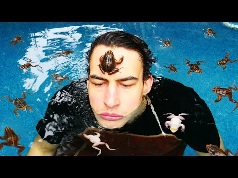 Video: Einzigartige Frog Rain-Drum Akzenttabelle
