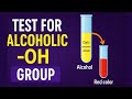 🔬 Alcoholic –OH Group Test | Ceric Ammonium Nitrate Test | Animated Explanation