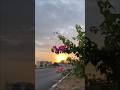 Tere ishq di faqeeri... 🤍 Nature ki god mein sukoon dhoondte huye. #NatureVibes #Aesthetic #nature