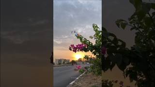 Tere ishq di faqeeri... 🤍 Nature ki god mein sukoon dhoondte huye. #NatureVibes #Aesthetic #nature