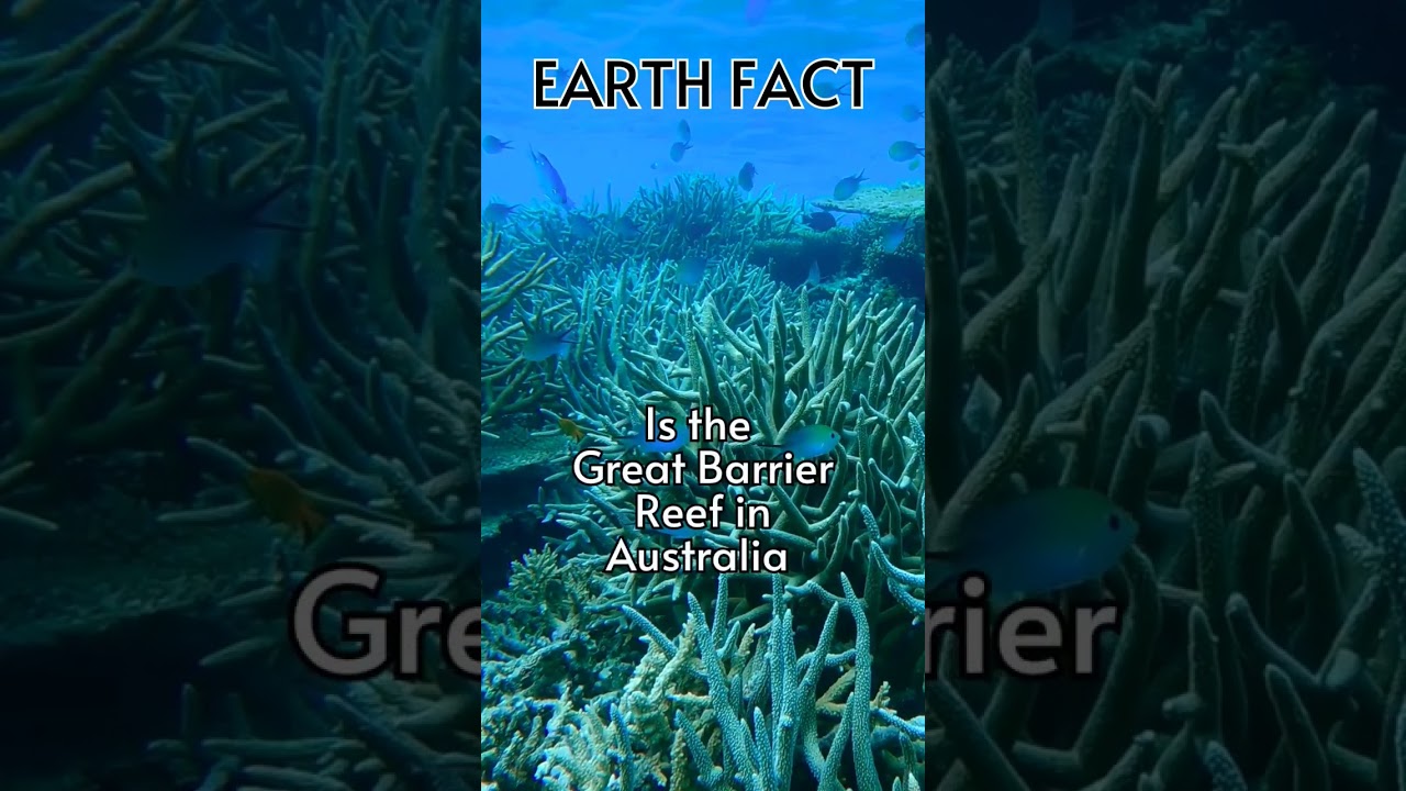 Earth fact: World's largest coral reef system 