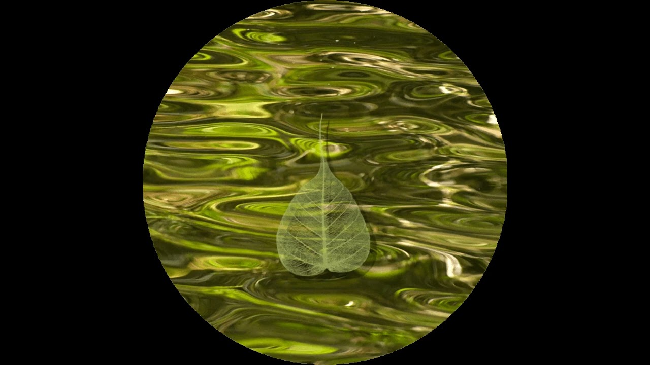 250922 Refuge \ \ Thanissaro Bhikkhu \ \ Short Dhamma Talk