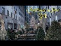 По Следам Один Дома 2 В Рождественском Нью Йорке
