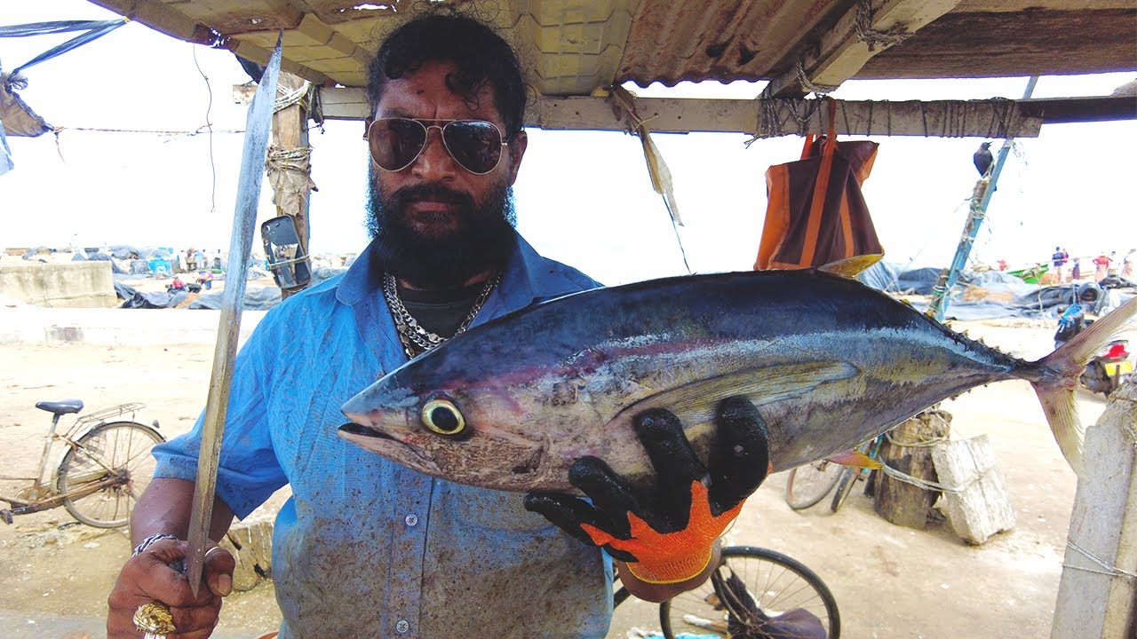 Tuna Cutting By Mr.Ravi - YouTube