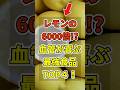 【レモンの6000倍!?】驚異の抗酸化で血管ツルピカ!血管が喜ぶ食品TOP4! #世界の研究でわかる最新健康法 #健康 #雑学 #医療 #レモン #shorts