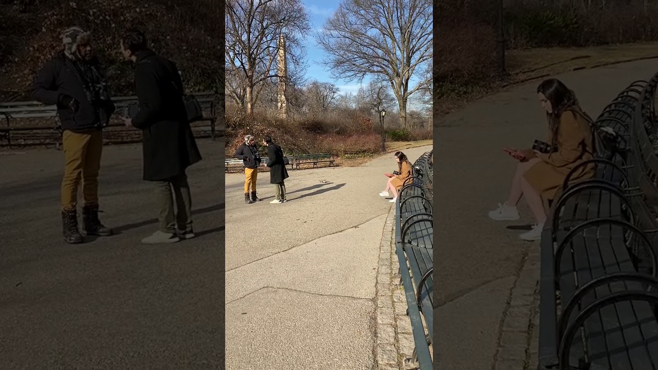 Central Park Birder vs Drone Guy