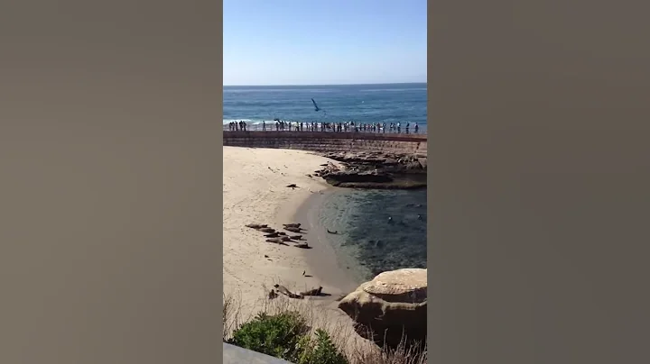 LaJolla, CA