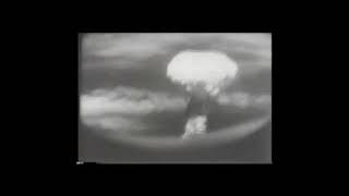 Delusional By The Beltway Bandits - 2020