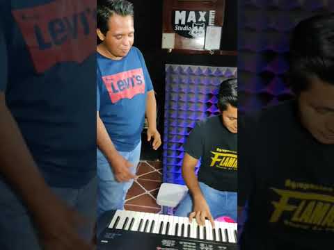 LOS FLAMANTES SHOW