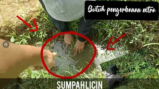 MANCING BELUT!!!!!!!! DAPETNYA sih gak seberapa tapi nangkapnya butuh pengorbanan screenshot 3