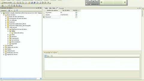 Tutorial SQL Server 2005 y Visual .Net (Parte 1)