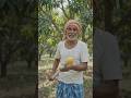#mango #fruit #whowillbemylifepartnerta #lifeisbutadream #ihavethisthingwithplants