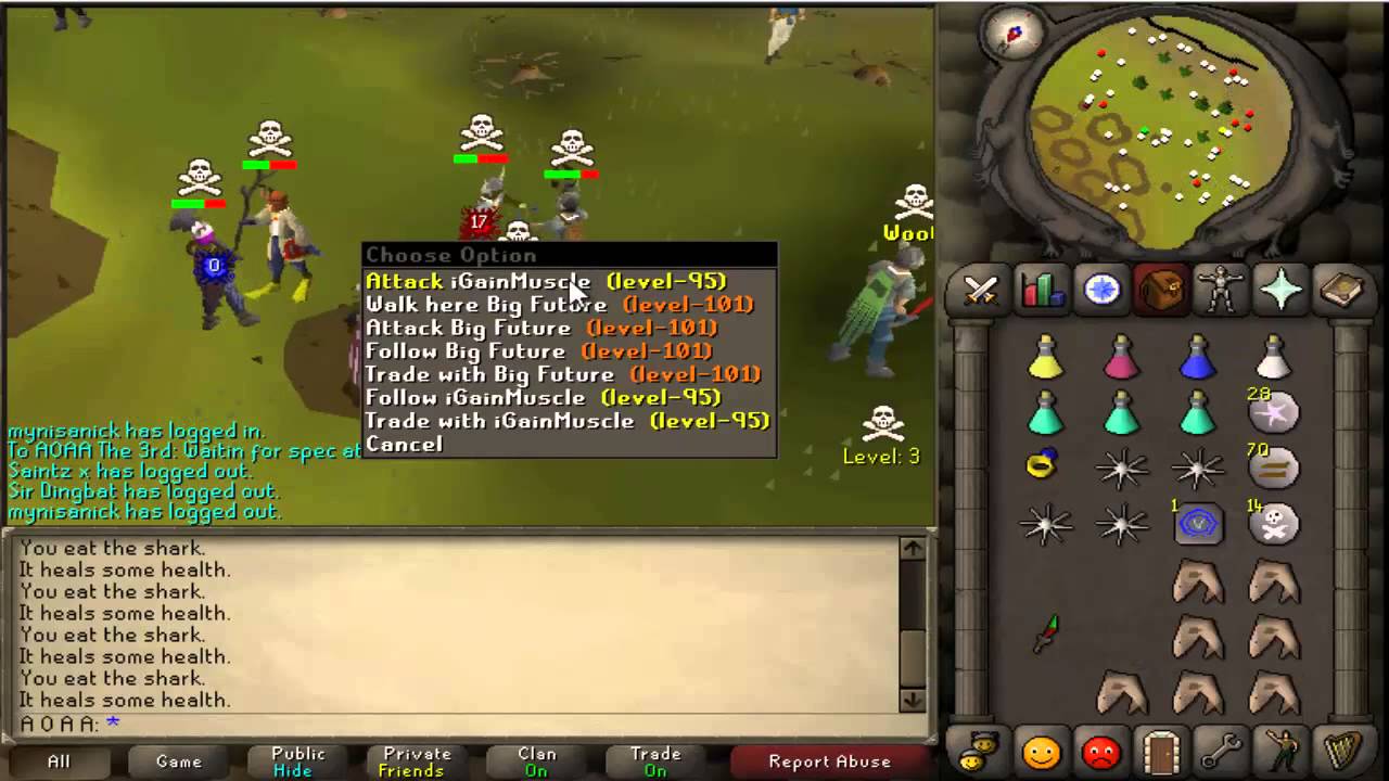 RS 2007 | Pk Commentary #20 | Zerker Pking With Venge