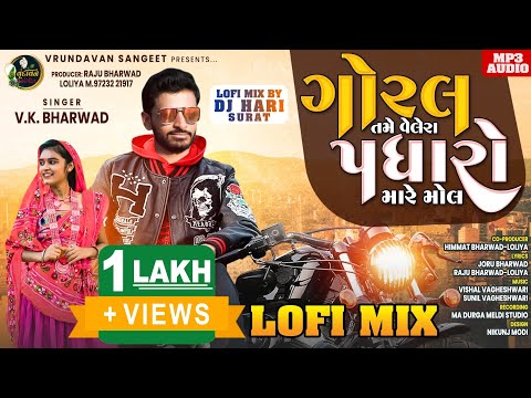 Goral Tame Velera Padharo Mare Mol Lofi Mix VK Bharwad New Remix Love Song 2023 