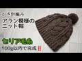 かぎ針編みで縄編みニット帽【アラン模様】100均毛糸 Crochet beanie