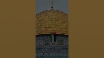 سورة آل عمران ١٦٩-١٧١