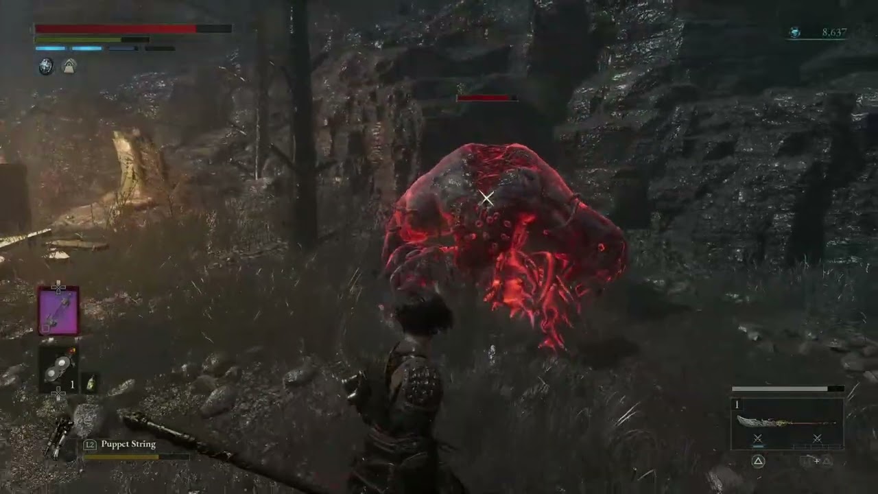 Decay Bear Field Guard