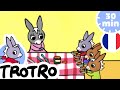 TROTRO - 🍰Trotro invite ses amis pour le goûter 🍰 |NOUVEAUX EPISODES 2020|HD