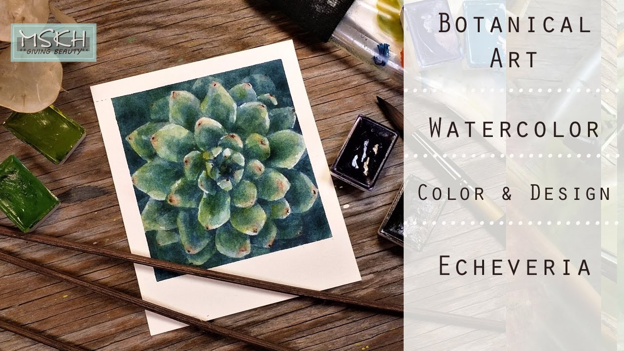 Watercolour/Painting Echeveria/Botanical Art/Painting tutorial/MSKH ART